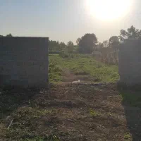 مسکونی شالی در محدوده سنگر