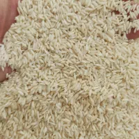 برنج علی کاظمی