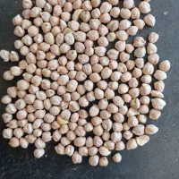 لوبیا قرمز کیلویی ۱۵۰|عمده‌فروشی|پاکدشت, خاتون آباد|دیوار