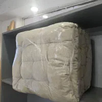 کوسن کرم