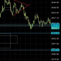 بروکر معتبر فارکس با نت ملی و کپی ترید