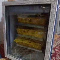 فروش دستگاه جوجه کشی|ماشین‌آلات صنعتی|عنبرآباد, |دیوار