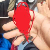 پیدا شدن یک ریموت و یه کلید