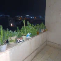 آپارتمان ۷۸متری شهرک امام علی جنوبی طبقه ی اول|فروش آپارتمان|سیرجان, |دیوار