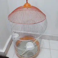 قفس پرنده بزرگ. سالم تمیز