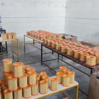 فیلتر هوای خودرو به قیمت کارخانه|قطعات یدکی و لوازم جانبی|بناب, |دیوار