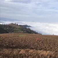 فروش زمین تالش