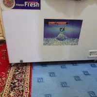 یخچال فریزر امرسان وفریزر صندوقی مادما|یخچال و فریزر|اهواز, کوی رمضان|دیوار