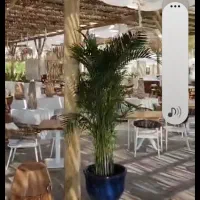 سرایداری و نظافت