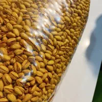 عرضه زعفران زرشک پسته هل عناب و سایر ادویه جات