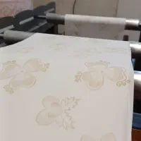 سفره یکبار مصرف ، کیسه زباله|ظروف نگهدارنده، پلاستیکی، یک‌بارمصرف|ملکان, |دیوار