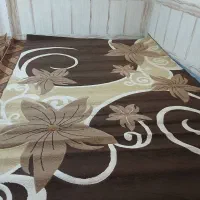 دوعددگلیم فرش