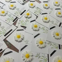 گیفت شمع بابونه