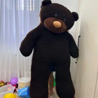 خرس ۱/۵|اسباببازی|رشت, کاکتوس|دیوار