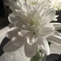 عکاسی از محصولات شما و ادمینی با چهره و بدون چهره