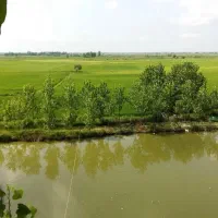 زمین در مازندران سرخرود اقساط بدون بهره