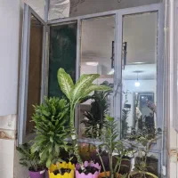 پنجره اهنی|مصالح و تجهیزات ساختمان|بندرعباس, |دیوار