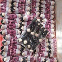 عروسک روسی دانش آموز