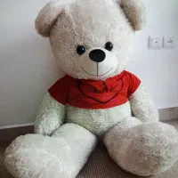 خرس عروسکی بزرگ و تعدادی ظروف استفاده نشده