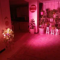 ال ای دی چراغ رشدگیاه