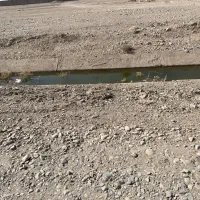 تهاتر ماشین یا اپارتمان با زمین کشاورزی در پاکدشت