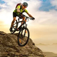 فروش و تعمیرات دوچرخه