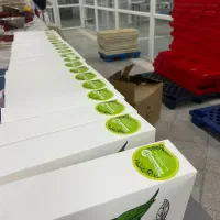 انباردار آقا با موتورسیکلت در شرایط کاری استاندارد|استخدام صنعتی، فنی، مهندسی|ورامین, شهرک صنعتی خیرآباد|دیوار
