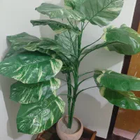 مبل هفت نفره پایه استیل ودوعدد میز عسلی وگل مصنوع|مبلمان خانگی و میز عسلی|شیراز, شهرک مطهری|دیوار