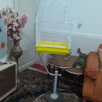 پایه قفس همراه قفس کلبه ای