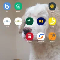 تبادل کد بلو و ویپاد و میلی