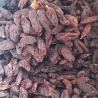کشمش ضایعاتی