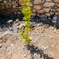 کتاب تست کنکور هاز ۸۰ تومن تا ۱۵۰