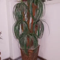 درخت مصنوعی