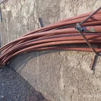 سازه گلخانه 360 متر|عمده‌فروشی|مشهد, کارمندان دوم|دیوار