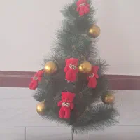 درختچه کوچک