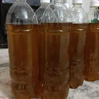 روغن زیتون اصل طارم