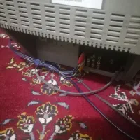 تلویزیون|تلویزیون و پروژکتور|پیشوا, |دیوار