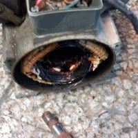 تعمیر بالابر ساختمانی درمحل کار نفر بر|خدمات پیشه و مهارت|اسلام‌شهر, شهرک مهدیه|دیوار