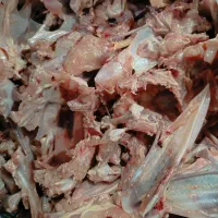 غذای سگ(پخته و خام)