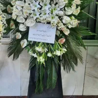 تاج گل سبدگل جام گل ترحیم،جشن، افتتاحیه|گل و گیاه طبیعی|تهران, آهنگ|دیوار