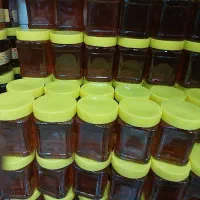 نمایندگی انحصاری عسل کندو مشکین شهردر استان بوشهر|خوردنی و آشامیدنی|بندر کنگان, |دیوار