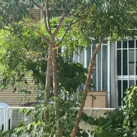 فروش خانه ویلایی|فروش خانه و ویلا|شاهینشهر, خانه کارگر|دیوار