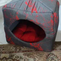 بالشت پت و گربه