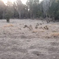 زمین ورودی دقلا مناسب خونه باغی کنار جاده کرمانشاه|فروش زمین و ملک کلنگی|تویسرکان, |دیوار