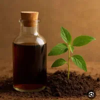 سرکه چوب و سرکه پوست پسته و مشتقات قطران چوب