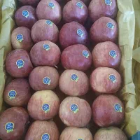 استخدام نیروی خانوم