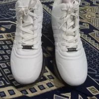 کفش|کیف، کفش، کمربند|مشهد, میان ولایت|دیوار