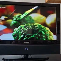 تلویزیون۴۲ اینچxویژن باند پایین تلویزیون|تلویزیون و پروژکتور|تهران, هروی|دیوار