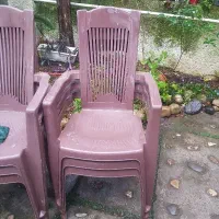 ۶ عدد صندلی پلاستیکی