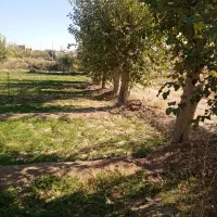 زمین کشاورزی